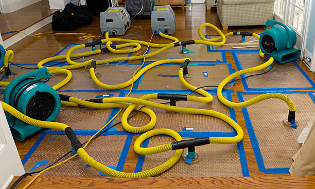 Professional Sewage Cleanup technician working in Aptos, CA